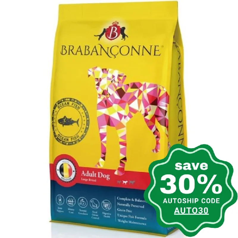 Brabanconne - Regular Diet - Adult Dog Large Breed Ocean Fish - 10KG