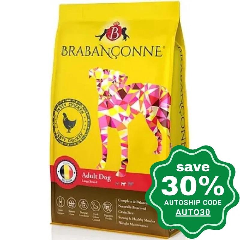 Brabanconne - Regular Diet - Adult Dog Large Breed Tasty Chicken - 20KG