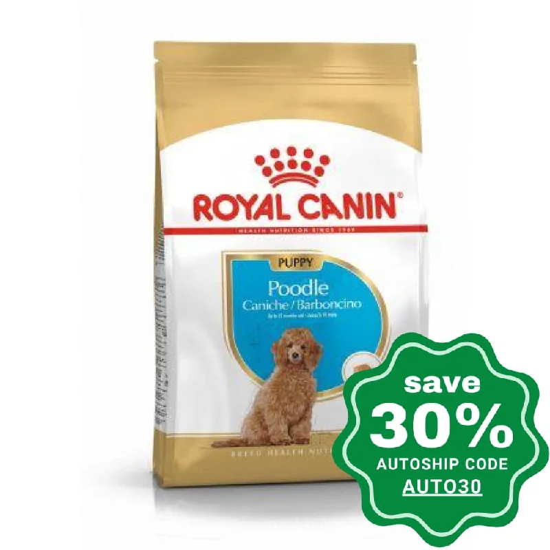 Royal Canin - Junior- Poodle - 3KG