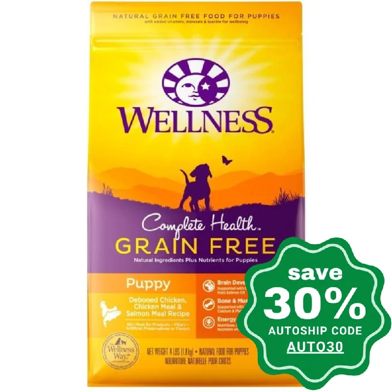 Wellness - Complete Health - Grain Free Dry Dog Food - Puppy Deboned Chicken, Chicken Meal & Salmon Meal - 24LB