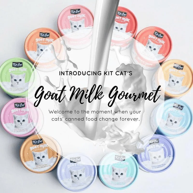 Canned Cat Treat - Goat Milk Gourmet