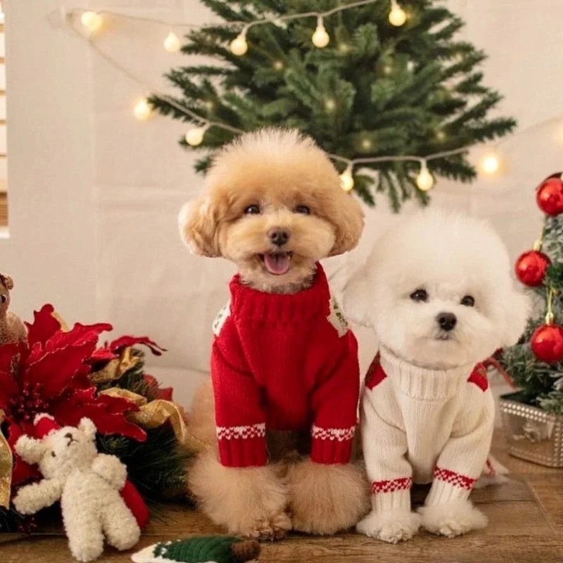 Santa Baby Christmas Sweater