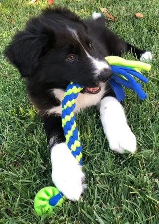 Braided Tugs with Durable Balls