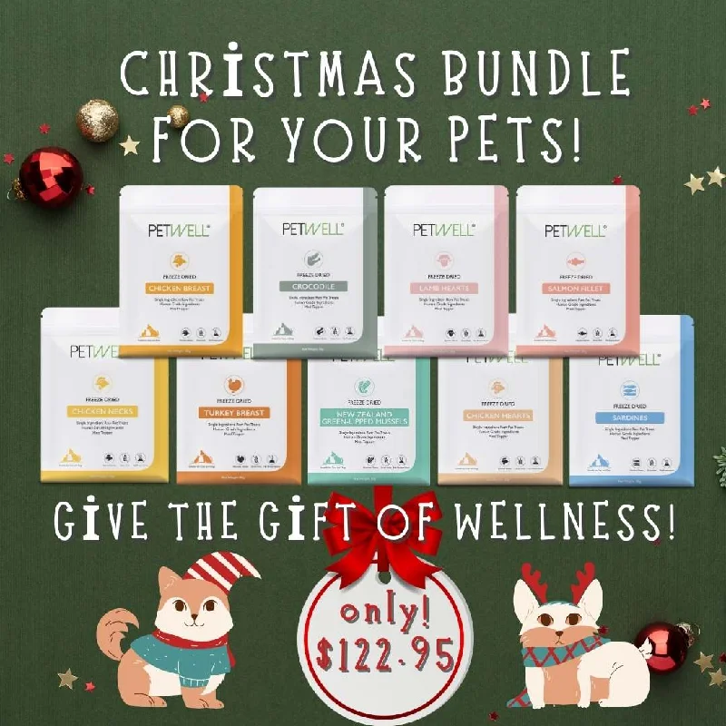 🎄🎁 Christmas Special Treat Bundle! 🎁🎄